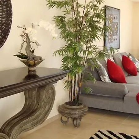 Amadora Luxury